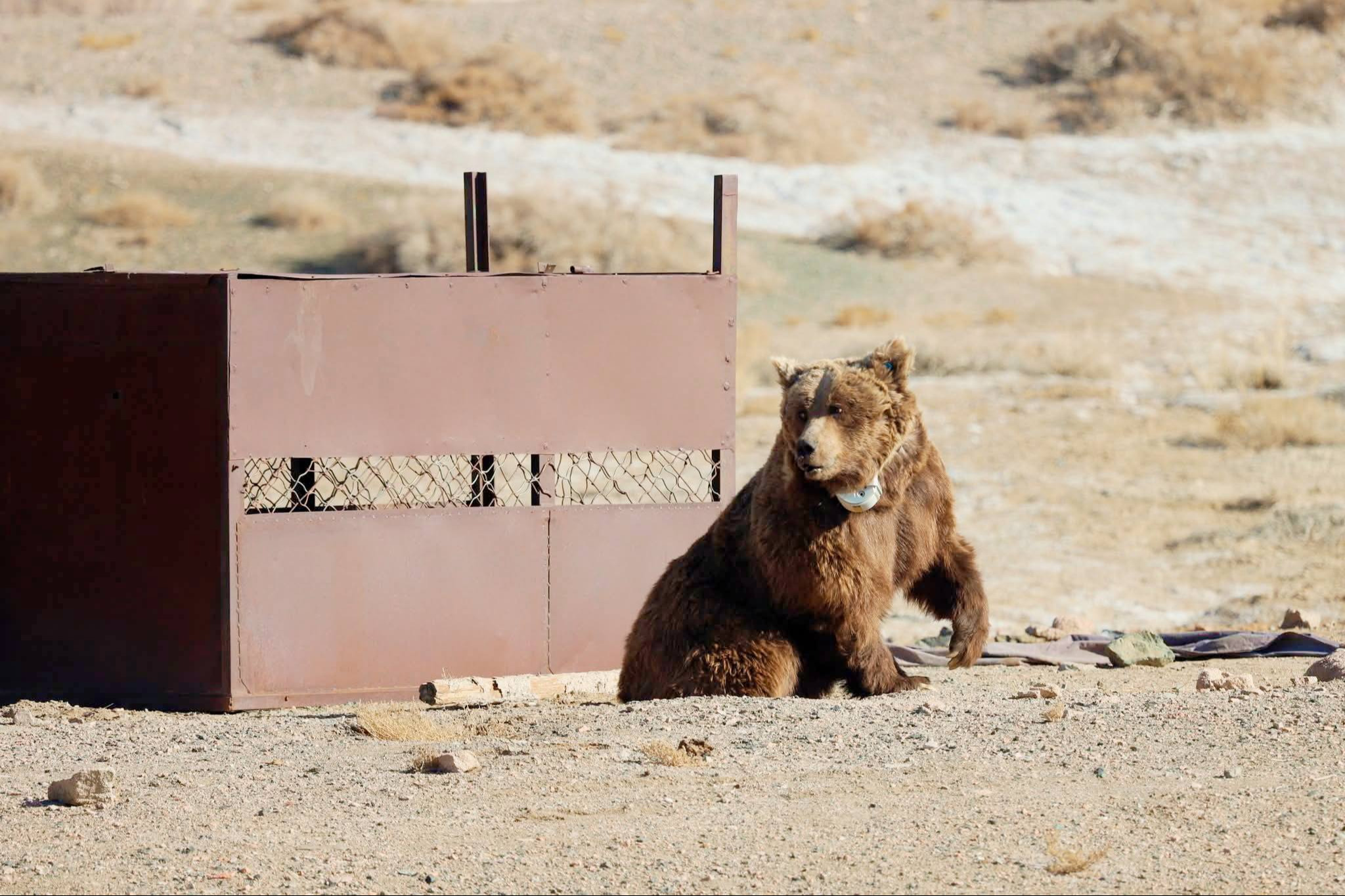 МАЗААЛАЙ БААВГАЙД САНСРЫН ДОХИОЛОЛ БҮХИЙ ХҮЗҮҮВЧ ЗҮҮЛЭЭ